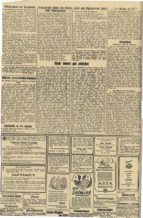 CCF19014_0015_stitch